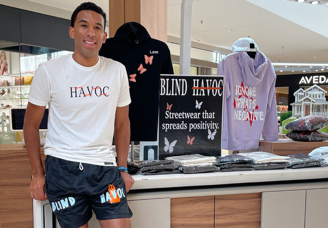 What Does Blind Havoc Mean What Does Blind Havoc Mean